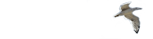 Красноярск анонимный анализ на наркотики тор браузер закрыли hydra